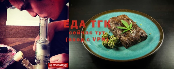 индика Ельня