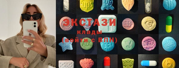 индика Ельня