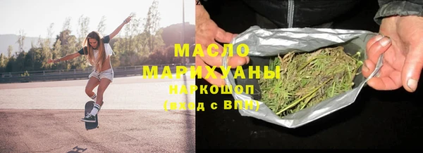 индика Ельня