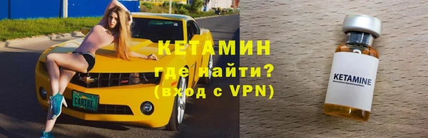 индика Ельня