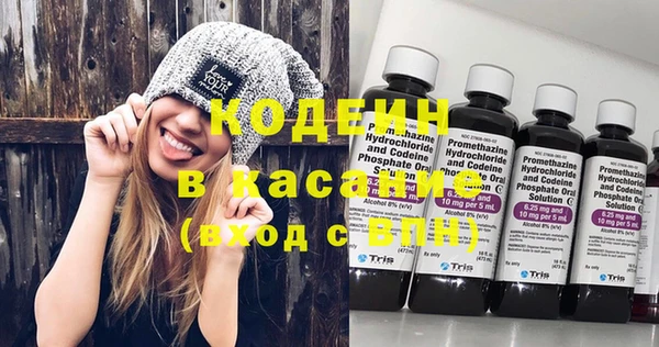 кокс Елизово