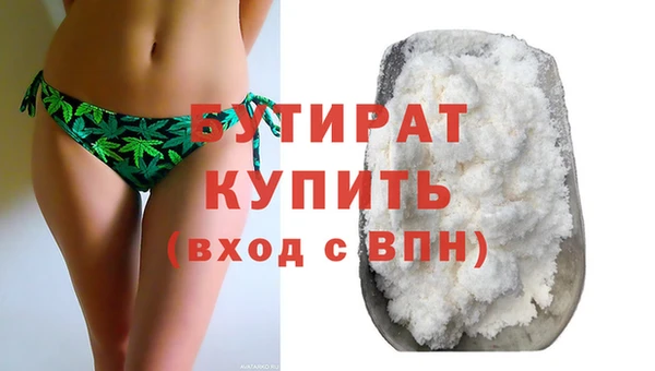 индика Ельня