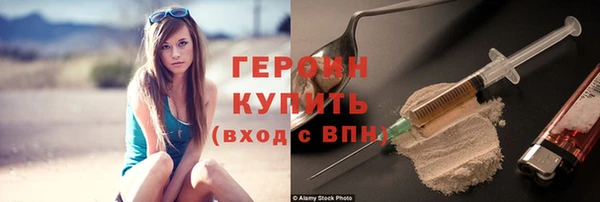 индика Ельня