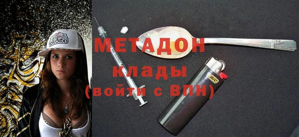 индика Ельня