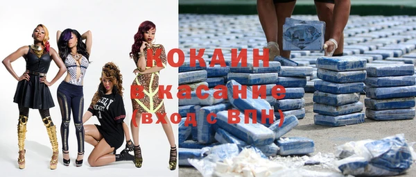 индика Ельня