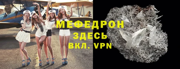 индика Ельня