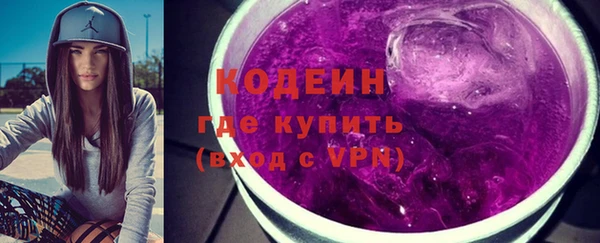 индика Ельня