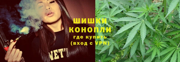 хмурый Шали